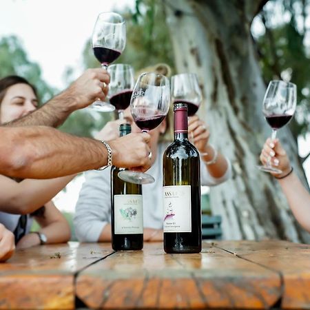 Assaf Boutique Winery & Cabins Kidmat Tsvi Екстериор снимка
