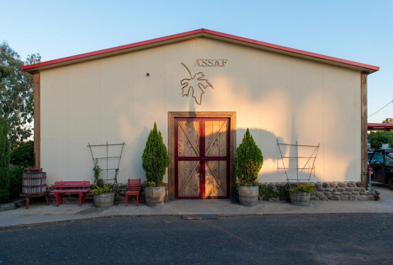 Assaf Boutique Winery & Cabins Kidmat Tsvi Екстериор снимка